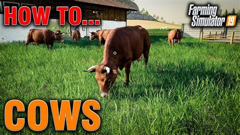 How To Feed Hay Bales To Cows Fs19 At Susan Sauter Blog