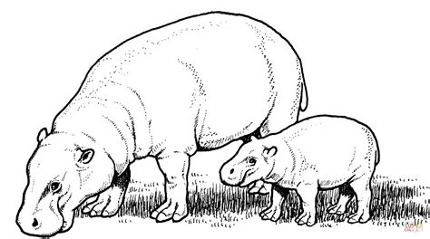 Pygmy Hippopotamus Mother with Baby coloring page | Free Printable Coloring Pages