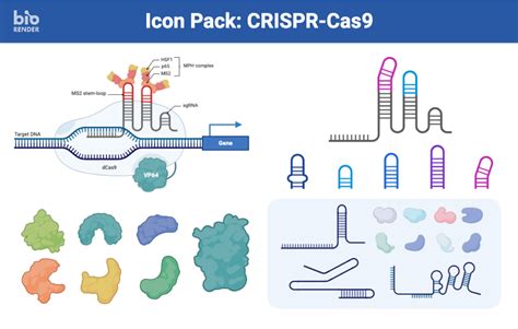 Icon Pack Crispr Cas Biorender Science Templates