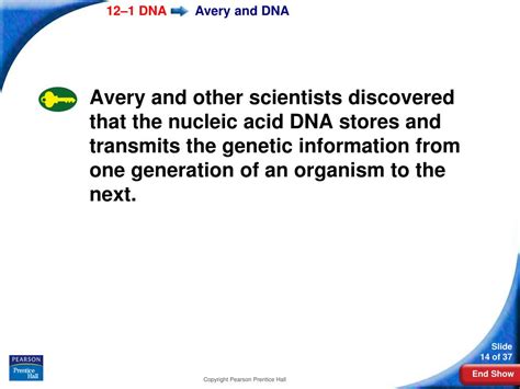 Ppt Biology Powerpoint Presentation Free Download Id 393033