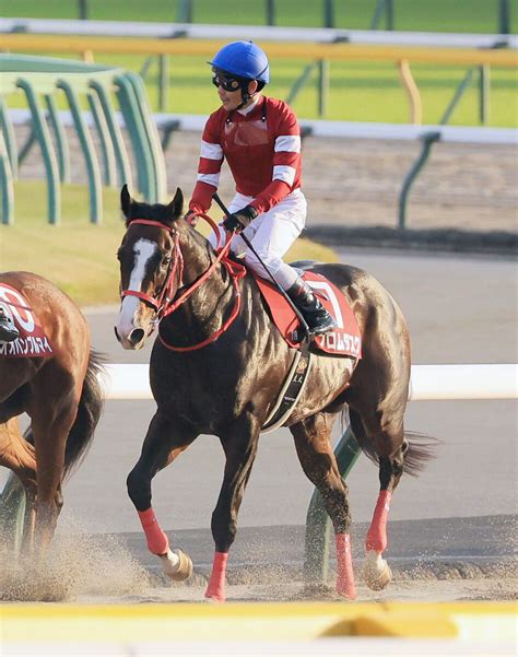 【注目馬動向】武豊騎手、朝日杯fsでフロムダスクと新コンビ 藤田晋氏の所有馬で連覇へ Umatoku 馬トク