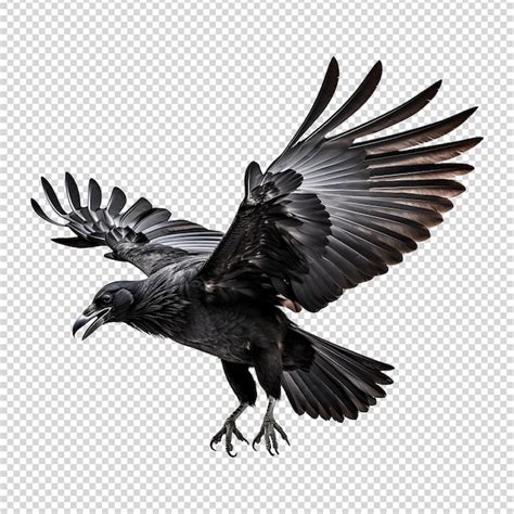 Premium PSD | Raven with spread wings isolated on a transparent background