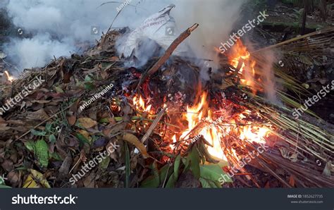 Burning Garbage Tropics Stock Photo 1852627735 Shutterstock