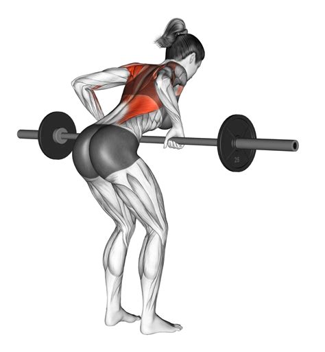 6 Best Types Of Barbell Row Variations With Pictures Inspire Us