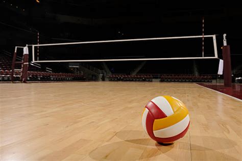 Creating The Perfect Volleyball Court A Step By Step Guide Javelin