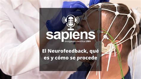 El Neurofeedback Qu Es Y C Mo Se Procede Umh Sapiens