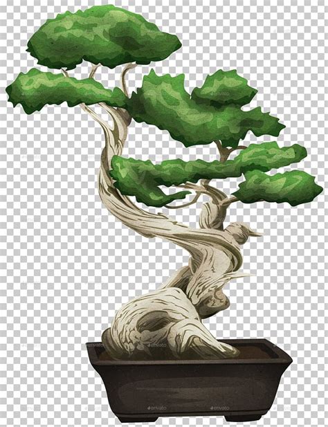 Bonsai Tree Sageretia Theezans Flowerpot Houseplant PNG Clipart