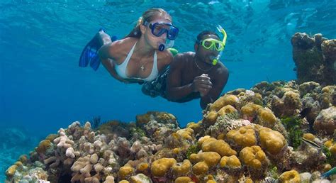 Best Snorkeling Grand Cayman Tour I Cayman Visitor