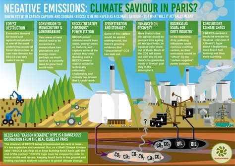 Last Ditch Climate Option Or Wishful Thinking Bioenergy With Carbon