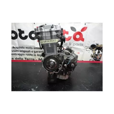 Motore Completo Complete Engine Bandit Gfs Eur