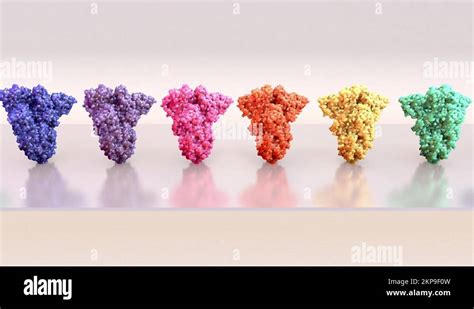 Antibody Response Stock Videos And Footage Hd And 4k Video Clips Alamy