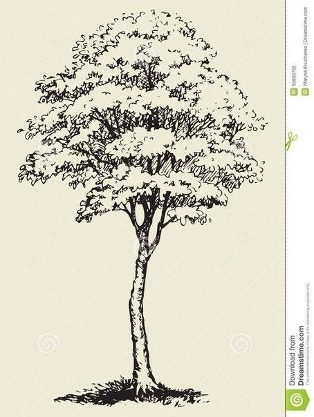 Pin On Reference And Ych Landscape Sketch Tree Drawing Landscape Drawings