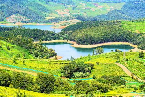 15 Things To Do In Ooty