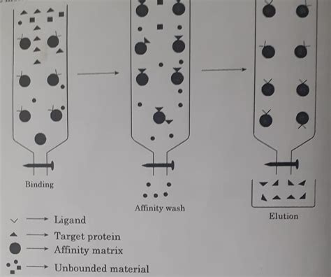 Affinity Chromatography Principle Instrumentation And Application Chemistry Notes