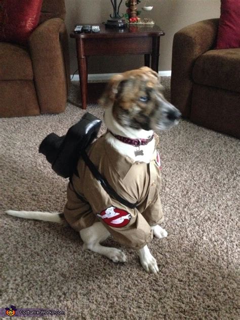 Ghostbusters Dog Costumes | DIY Costumes Under $25 - Photo 3/3