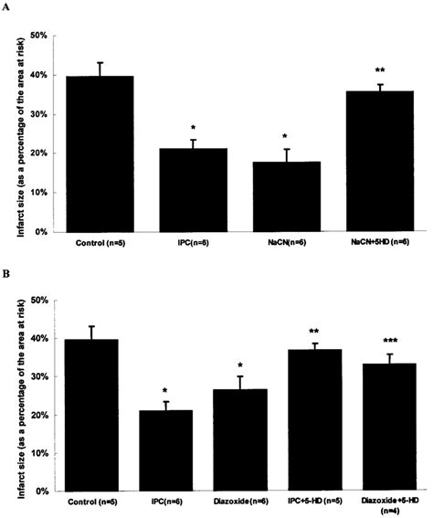 Infarct Size As A Percentage Of The Area At Risk Is Plotted For All