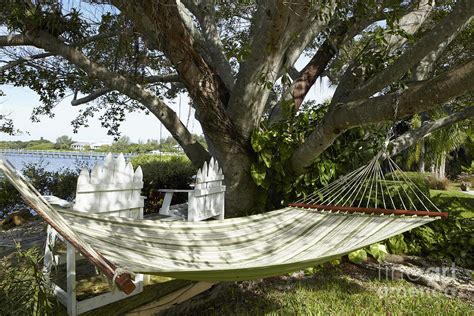 Hammock Under A Tree Photograph By Skip Nall Fine Art America