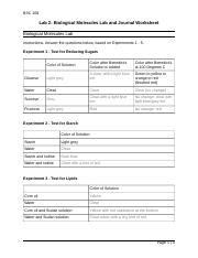 Lab Docx Bsc Lab Biological Molecules Lab And Journal