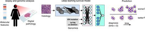 Deep Learning Pathology Cbiit