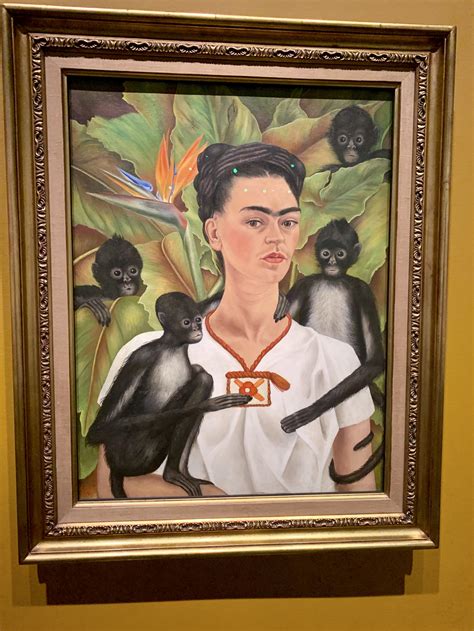 Frida Kahlo Nashville Exhibit Kentucky Life Style Travel Blog