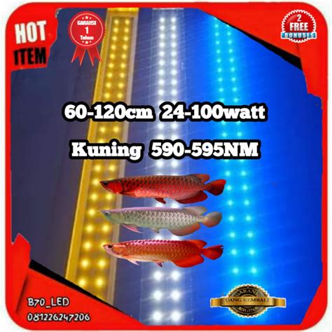 Jual Lampu Tanning Arwana Hpl Kuning 590 595nm 60 120cm 24 100w