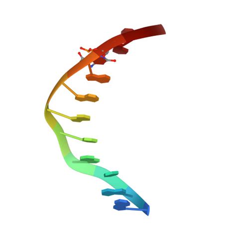 Rcsb Pdb 5kl5 Wilms Tumor Protein Wt1 Znf2 4 Q369h In Complex With