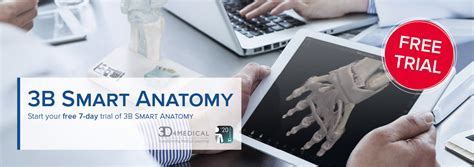 3b Smart Anatomy Simulation And Skills Training For Medical Education 3b Scientific