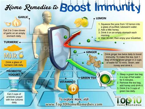 Home Remedies To Boost Immunity Top 10 Home Remedies