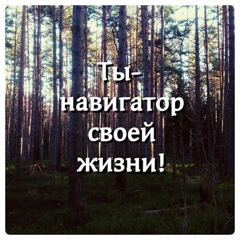 Пин от пользователя Мариша Бонд на доске мотивации | Мотивация, Цитаты ...