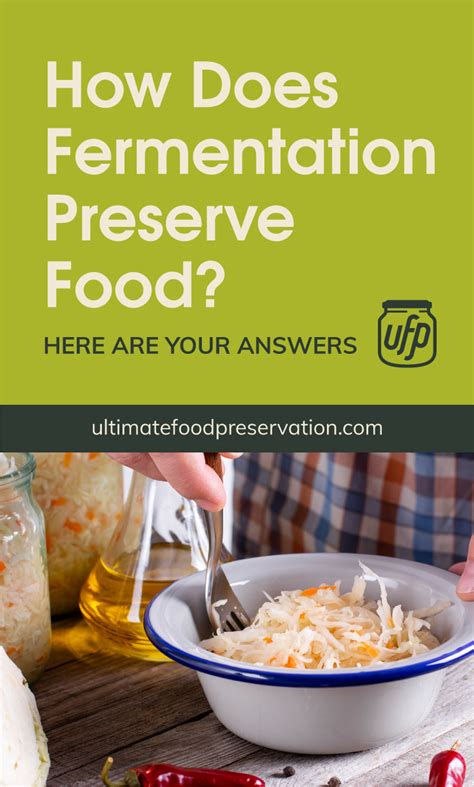 How Does Fermentation Preserve Food? Here Are Your Answers | UFP