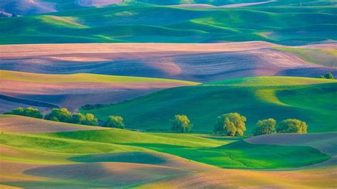 Farmland In Palouse Region Of Washington State From Steptoe Butte In