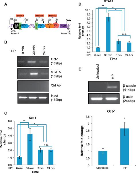 Figure From Interactions Of The Ubiquitous Octamer Binding