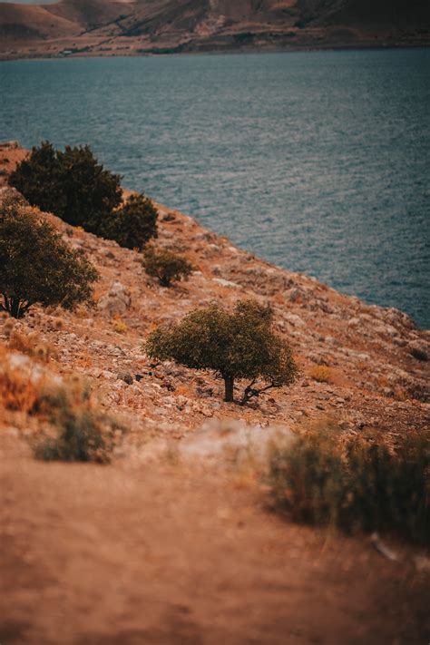 Photo Of Shrubland And Rocks · Free Stock Photo