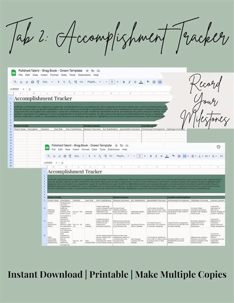 Career Brag Book Spreadsheet Google Excel Sheet Career Accomplishment