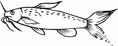 Catfish Coloring Page Colouringpages