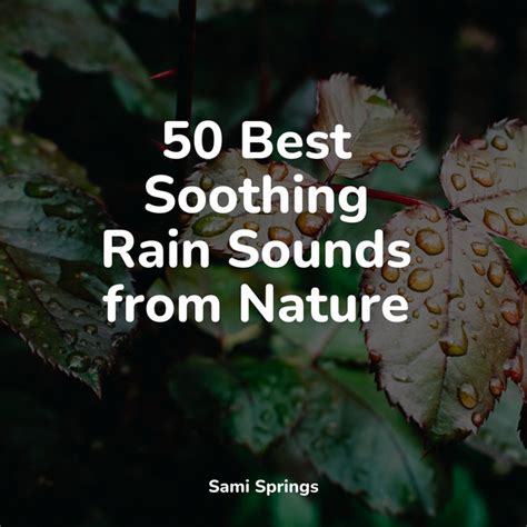 Best Soothing Rain Sounds From Nature Album By Academia De M Sica