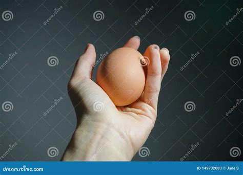 Holding A Egg By Hand Stock Image Image Of Land Summer 149732083