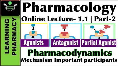 Part 2 Pharmacology CH 1 1 Pharmacodynamics Drug Actions