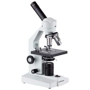 Compound Light Microscope Magnification Calculation | Shelly Lighting