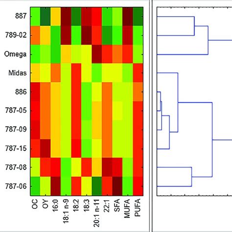 Heat Map With A Dendrogram Results Of The Two Way Cluster Analysis In Download Scientific