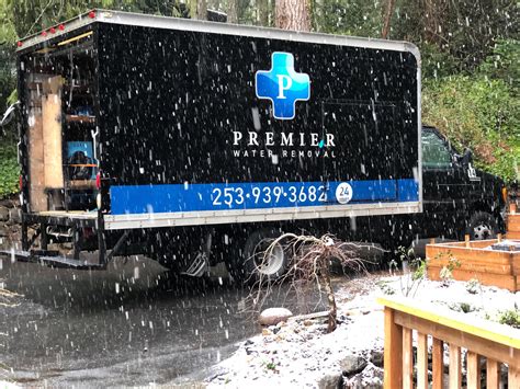 Mold Remediation And Removal Services Seattle Washington