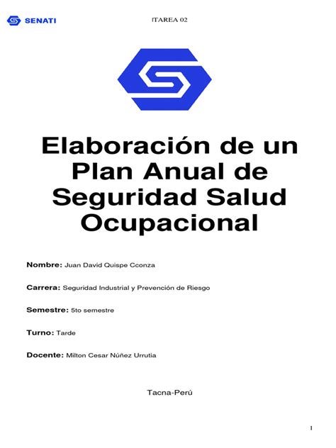 Plan Anual De Sst Pdf Seguridad Y Salud Ocupacional Higiene Ocupacional