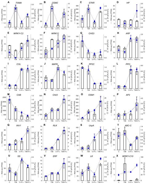 Comparison Of RNA Seq And Real Time RT PCR Analyses Expression