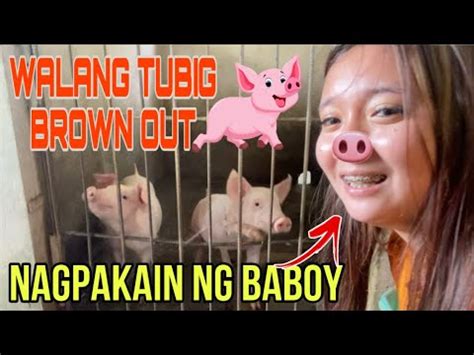 Tara At Magpakain Ng Baboy Brownout Walang Tubig Sa MINDORO