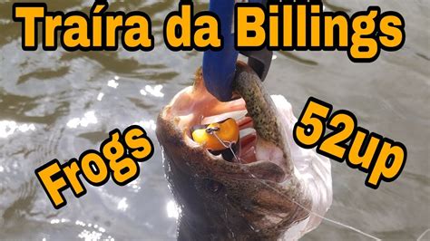 Represa Billings Sempre N S Presenteia Trairafrog Caiaque Youtube