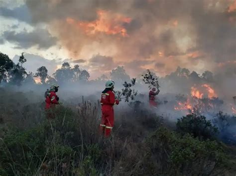 Regiones Afectadas Por Incendios Forestales Piden Ser Declaradas En