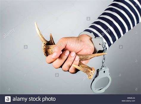 Horn And Shackleconcept Of Criminal Acts And The Illegal Wildlife