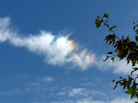 Cloud Flare Free Stock Photo Public Domain Pictures