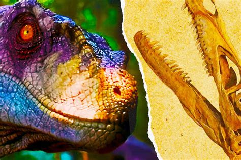 The Inaccurate Dinosaurs Of Jurassic Park A Comparative Analysis