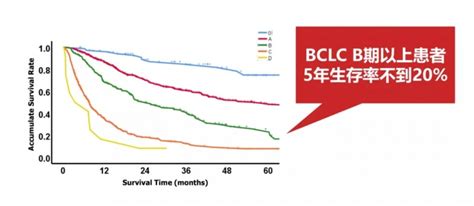 肝癌早期筛查肝癌早筛项目贝瑞旗下和瑞基因肝癌早筛产品莱思宁上市全球肿瘤医生网